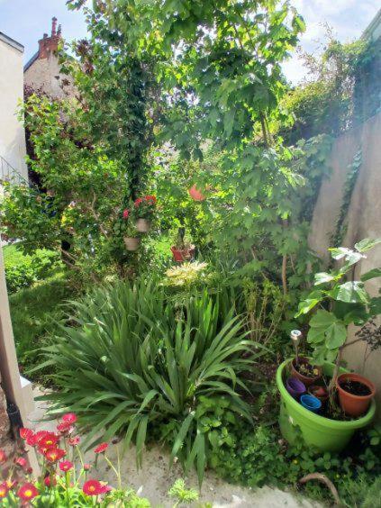 Appart Rez De Jardin ดีจอง ภายนอก รูปภาพ